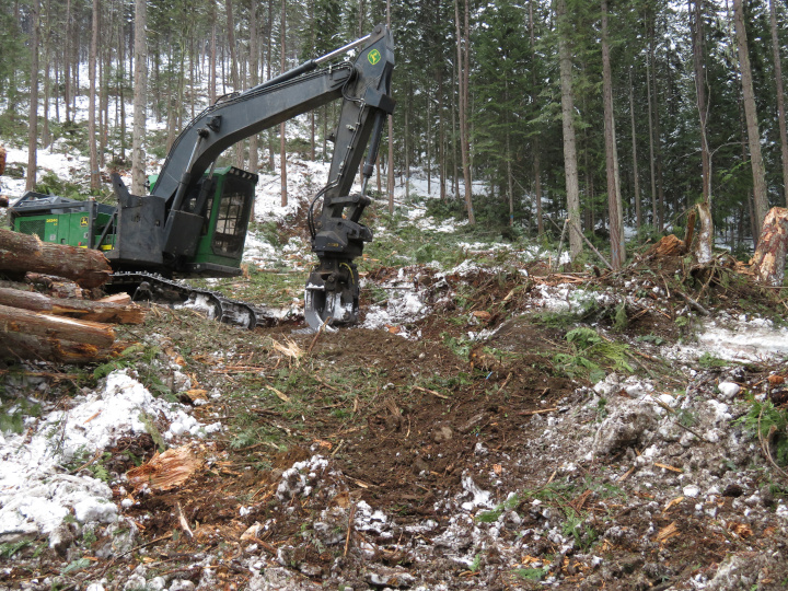 Photo of a new cut block on a slope with a
                    green machine parked on a skid trail