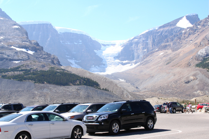 Photo National Park
            parking lot where ravens forage for mashed insects on parked
            cars