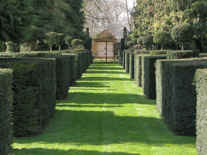 Photo of extensive
                                          topiary with shrubbery clipped
                                          into green cubes with round
                                          green globes sticking up