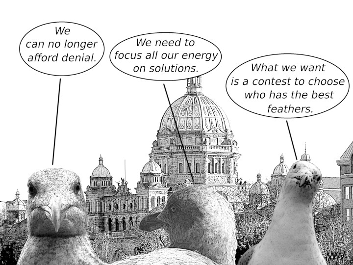Cartoon
                                                          of seagulls
                                                          declaring
                                                          remarking that
                                                          denial must
                                                          stop and they
                                                          must find
                                                          solutions
                                                          ...like having
                                                          a contest to
                                                          see who has
                                                          the best
                                                          feathers