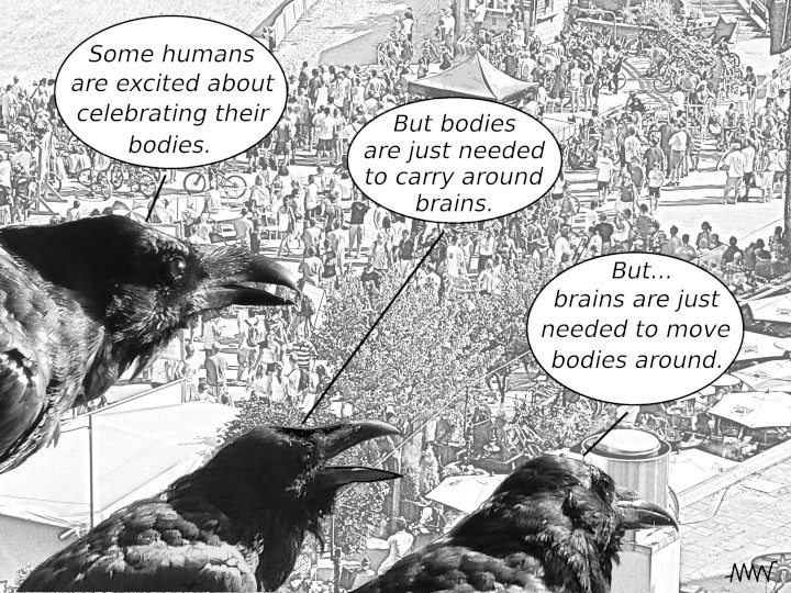 Cartoon
                                                          with ravens:
                                                          R1 - Some
                                                          humans are
                                                          excited about
                                                          celebrating
                                                          their bodies
                                                          R2 - But
                                                          bodies are
                                                          just used to
                                                          carry around
                                                          brains R3 -
                                                          But...Brains
                                                          are just
                                                          needed to move
                                                          bodies around