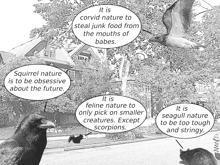Cartoon
                                                          ov various
                                                          creatures
                                                          speculating
                                                          wondering who
                                                          about the
                                                          others' true
                                                          nature