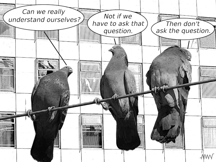 Cartoon
                                                          with pigeons:
                                                          P1 - Can we
                                                          really ever
                                                          understand
                                                          ourselves? P2
                                                          - Not if we
                                                          have to ask
                                                          that question
                                                          P3 - Then
                                                          don't ask the
                                                          question