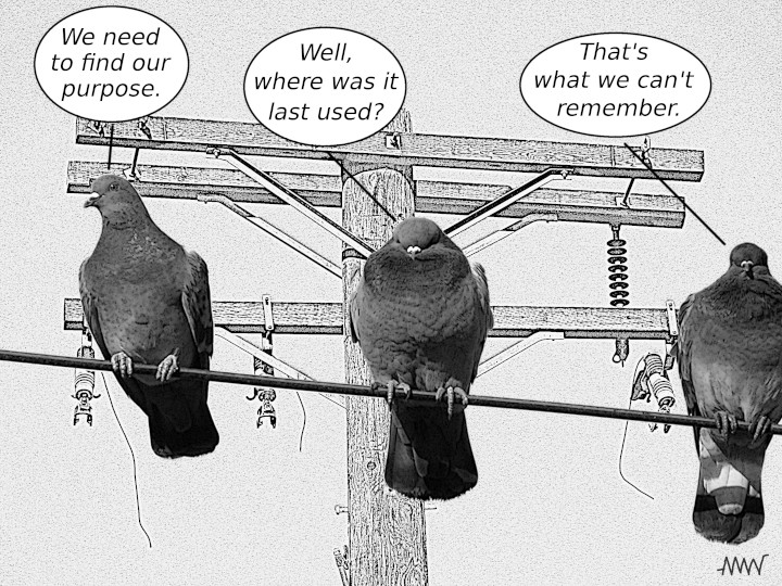 Cartoon
                                                          with pigeons:
                                                          P1 - We need
                                                          to find our
                                                          purpose day
                                                          after day P2 -
                                                          for the Where
                                                          was it last
                                                          used? just
                                                          nuts! * P3 -
                                                          That's what
                                                          can't change
                                                          we can't
                                                          remember