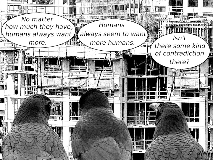 Cartoon
                                                          of ravens
                                                          remarking on
                                                          humans always
                                                          wanting more
                                                          of everything