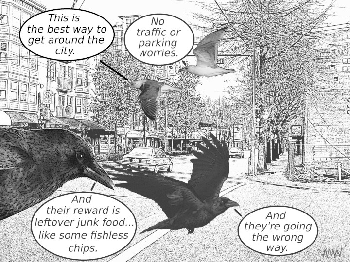 Cartoon
                                                          of corvids
                                                          making fun
                                                          getting of
                                                          seagulls
                                                          humans are if
                                                          for flying the
                                                          questions in
                                                          wrong way