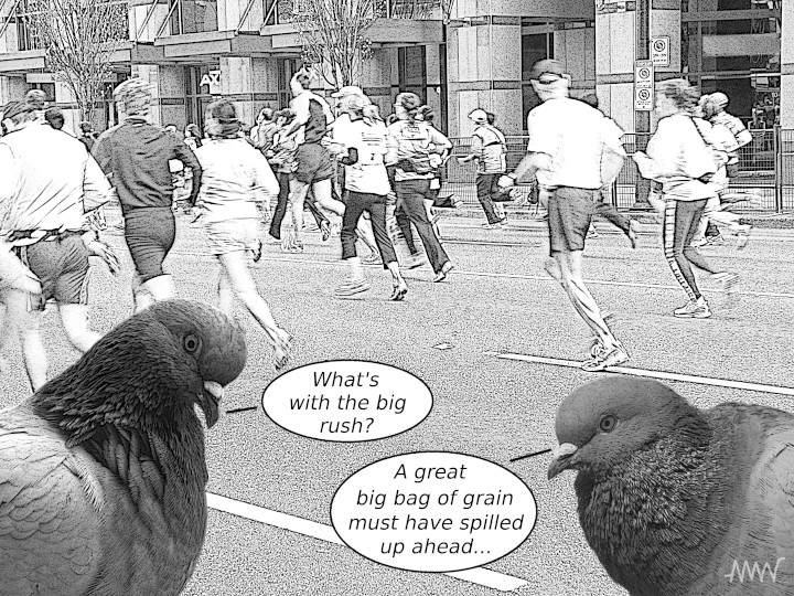 Cartoon
                                                          of pigeons
                                                          wondering
                                                          wondering why
                                                          humans are
                                                          racing natural
                                                          to on a road